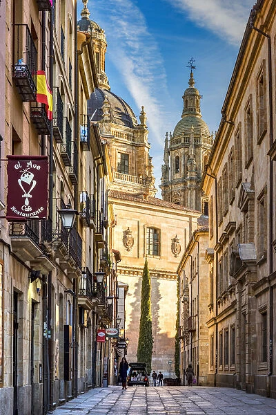 Street on the old town, Salamanca, Castile and Leon, Spain