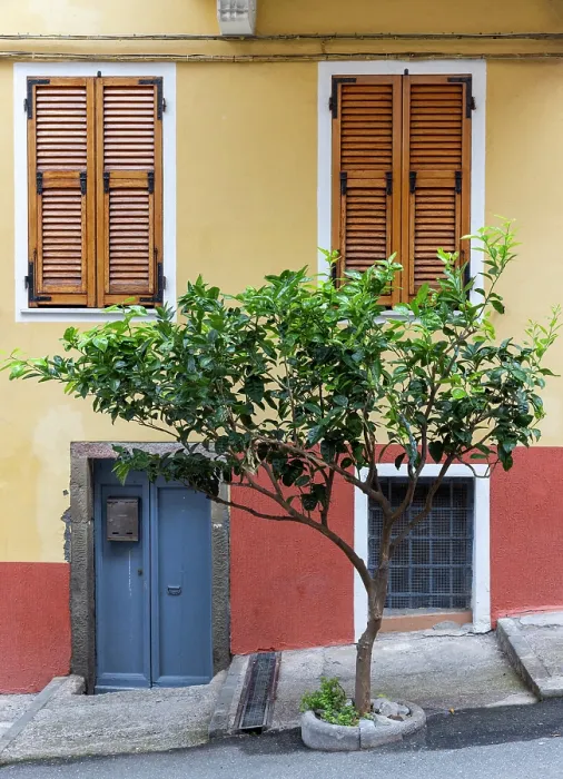 Framed Print : Street in the village of Manarola, Cinque Terre, La Spezia district, Liguria, Italy Framed Print : Street in the village of Manarola, Cinque Terre, La Spezia district, Liguria, Italy