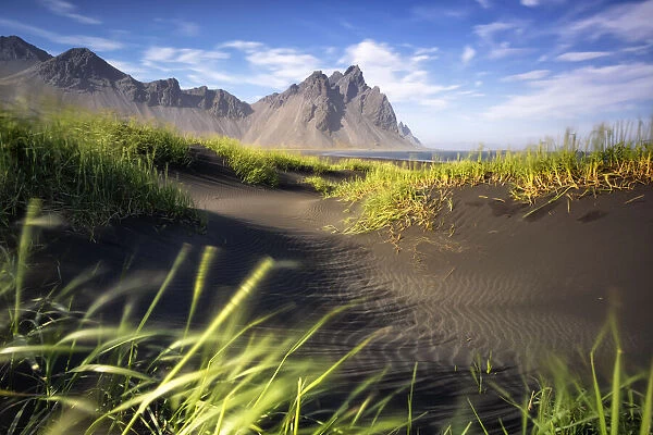 the strong wind envelope the sand dunes around the Vestrahorn mountain, during a summer sunrise, Stokksnes, Hofn, Eastern Iceland, Iceland