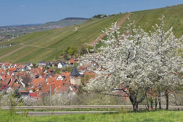 Strumpfelbach, Weinstadt, Remstal Valley, Baden-Wurttemberg, Germany