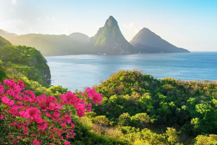 Framed Print : Stunning view of the Pitons (Petit Piton & Gros Piton) from an elevated viewpoint with the rainforest and bay of Soufriere in the foreground. Soufriere, Saint Lucia Framed Print : Stunning view of the Pitons (Petit Piton & Gros Piton) from an elevated viewpoint with the rainforest and bay of Soufriere in the foreground. Soufriere, Saint Lucia