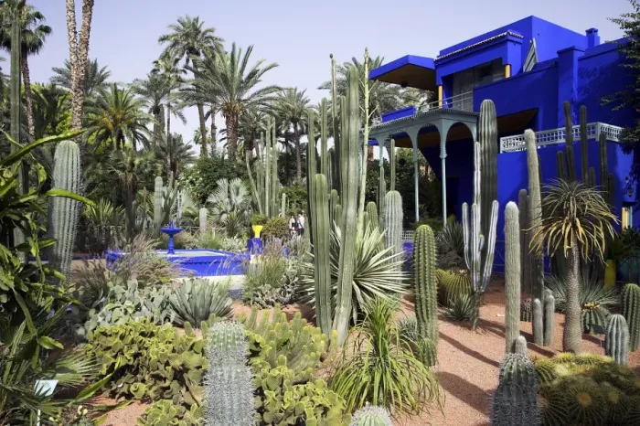 Framed Print : The sub-tropical Jardin Majorelle in the Ville Nouvelle of Marrakech Framed Print : The sub-tropical Jardin Majorelle in the Ville Nouvelle of Marrakech