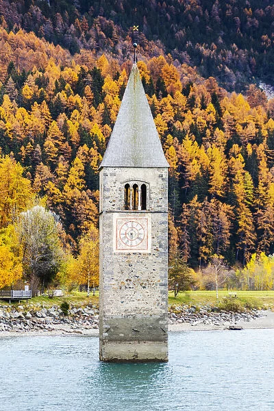 Submerged tower of Curon Venosta in autumn. Curon Venosta, South Tirol, Italy