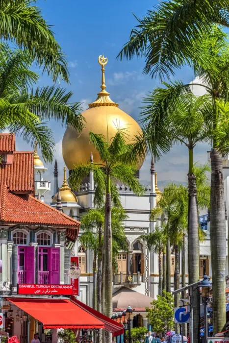 Framed Print : Sultan Mosque and Arab Street, Singapore