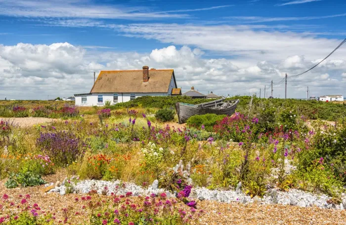 Framed Print : Summer in Dungeness, Kent, England Framed Print : Summer in Dungeness, Kent, England