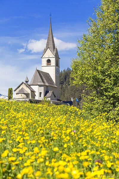 Summer flowering at the traditional church of Davos Wiesen, Parc Ela, Prettigau  /  Davos