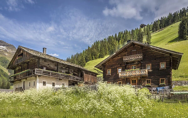Summer meadow and historic mountain farms in Innervillgraten in Villgratental, East Tyrol, Tyrol, Austria