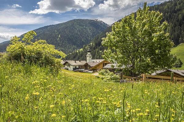Summer meadow and view of Innervillgraten in Villgratental, East Tyrol, Tyrol, Austria