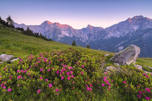 Summer season in Orobie alps, Zulino pass in Lombardy district, Bergamo province, Italy