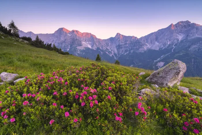 Framed Print : Summer season in Orobie alps, Zulino pass in Lombardy district, Bergamo province, Italy Framed Print : Summer season in Orobie alps, Zulino pass in Lombardy district, Bergamo province, Italy