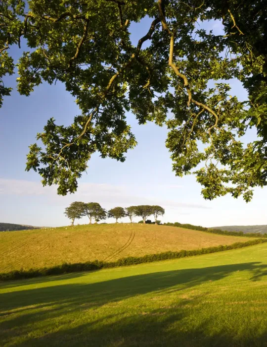 Framed Print : Summertime Exmoor countryside scenes between the villages of Horner and Luccombe Framed Print : Summertime Exmoor countryside scenes between the villages of Horner and Luccombe