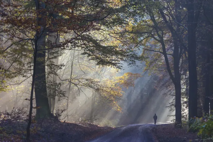 Framed Print : Sun breaks through the fog - in the Rheingau-Taunus Nature Park near Engenhahn Framed Print : Sun breaks through the fog - in the Rheingau-Taunus Nature Park near Engenhahn
