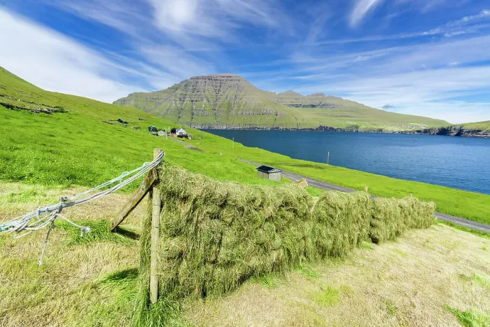 Framed Print : Sun-drying hay in the green fields above the ocean, Muli, Bordoy island, Faroe Islands, Denmark