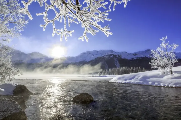 Framed Print : Sun illuminates tree branches covered with frost along the river Inn. Sils. Engadine Framed Print : Sun illuminates tree branches covered with frost along the river Inn. Sils. Engadine