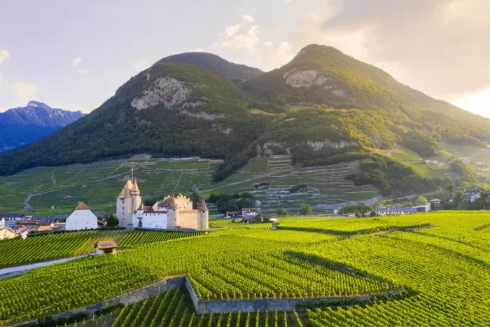 Framed Print : Sun rays over Aigle Castle in between green hills and mountains, aerial view Framed Print : Sun rays over Aigle Castle in between green hills and mountains, aerial view