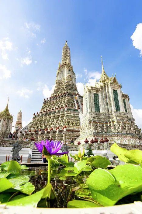 Framed Print : Sun shining over Lotus flowers at Wat Arun Buddhist temple, Bangkok, Thailand Framed Print : Sun shining over Lotus flowers at Wat Arun Buddhist temple, Bangkok, Thailand