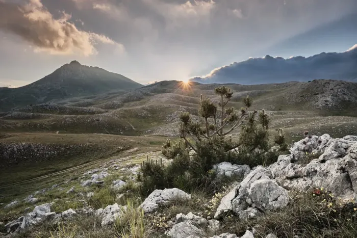 Framed Print : Sunburst sunset over Campo Imperatore and Mount Bolza with a solitary pine - Gran Sasso