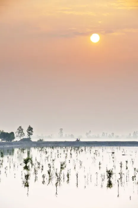 Framed Print : Sundarbans National Park, Tiger Reserve at dawn. West Bengal, India Framed Print : Sundarbans National Park, Tiger Reserve at dawn. West Bengal, India