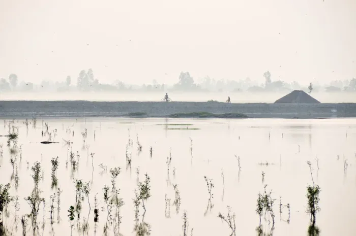 Framed Print : Sundarbans National Park, Tiger Reserve at dawn. West Bengal, India Framed Print : Sundarbans National Park, Tiger Reserve at dawn. West Bengal, India