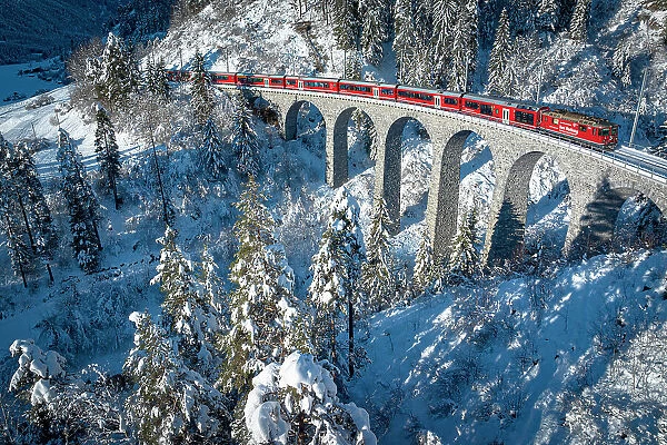 Sunlight over the famous red train traveling across the winter snowy forest in the Swiss Alps, Graubunden canton, Switzerland