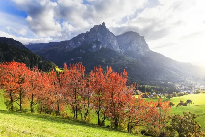 Framed Print : Sunlight illuminates red leafs of cherry trees. Siusi allo Sciliar, Dolomites Framed Print : Sunlight illuminates red leafs of cherry trees. Siusi allo Sciliar, Dolomites