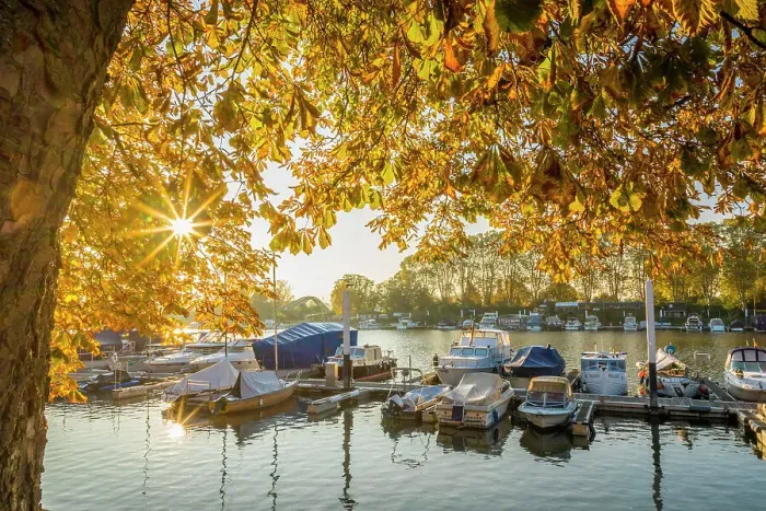 Framed Print : Sunrise in autumn at Schiersteiner Hafen, Wiesbaden, Hesse, Germany Framed Print : Sunrise in autumn at Schiersteiner Hafen, Wiesbaden, Hesse, Germany
