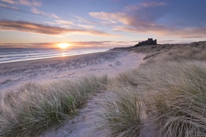 Framed Print : Sunrise over Bamburgh Beach and Castle from the sand dunes, Northumberland, England Framed Print : Sunrise over Bamburgh Beach and Castle from the sand dunes, Northumberland, England