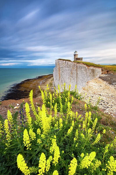 Sunrise at Belle Tout lighthouse, Eastbourne, Beachy Head, East Sussex, United Kingdom
