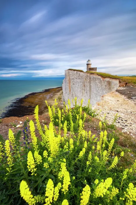 Framed Print : Sunrise at Belle Tout lighthouse, Eastbourne, Beachy Head, East Sussex, United Kingdom