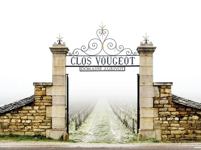 Framed Print : Sunrise Clos de Vougeot Vineyards, Fog Beaune, Cote D'Or, Burgundy, France Framed Print : Sunrise Clos de Vougeot Vineyards, Fog Beaune, Cote D'Or, Burgundy, France