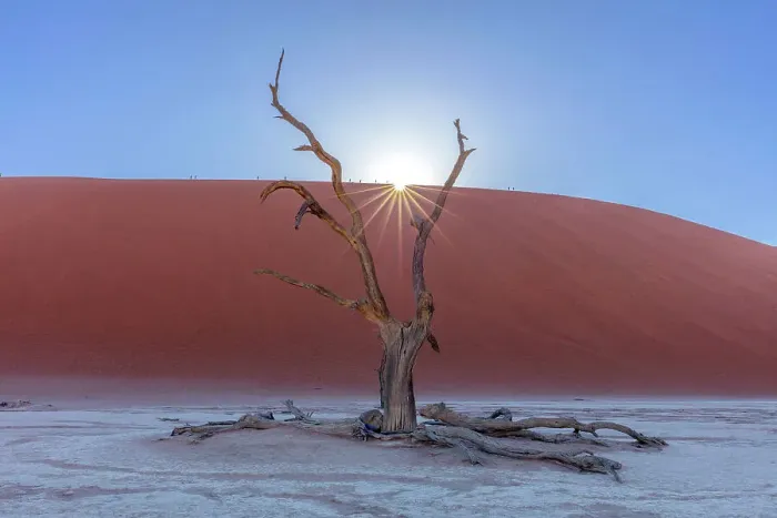 Framed Print : Sunrise over Deadvlei salt pan, Sossuvlei, Namib Naukluft National Park, Namibia, Africa Framed Print : Sunrise over Deadvlei salt pan, Sossuvlei, Namib Naukluft National Park, Namibia, Africa