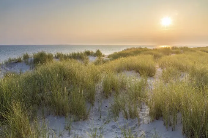 Framed Print : Sunrise in the dunes in the Ellenbogen nature reserve, Sylt, Schleswig-Holstein, Germany Framed Print : Sunrise in the dunes in the Ellenbogen nature reserve, Sylt, Schleswig-Holstein, Germany