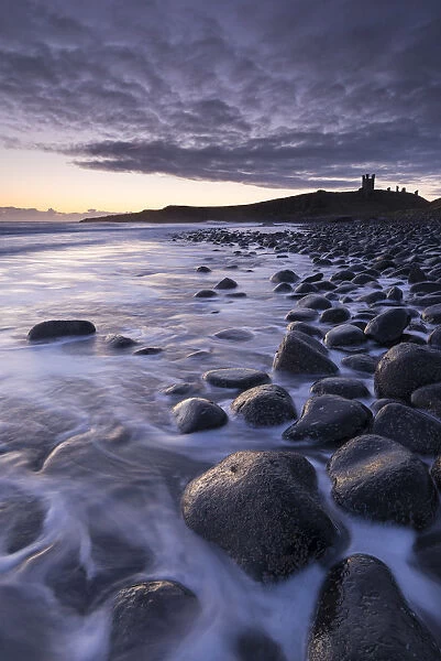 Sunrise at Embleton Bay boulder beach with Dunstanburgh Castle beyond, Northumberland