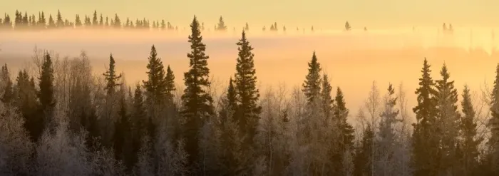 Framed Print : Sunrise over Fairbanks, Alaska, USA Framed Print : Sunrise over Fairbanks, Alaska, USA