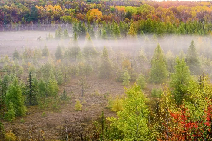 Framed Print : Sunrise over a foggy wetland, Greater Sudbury, Ontario, Canada Framed Print : Sunrise over a foggy wetland, Greater Sudbury, Ontario, Canada