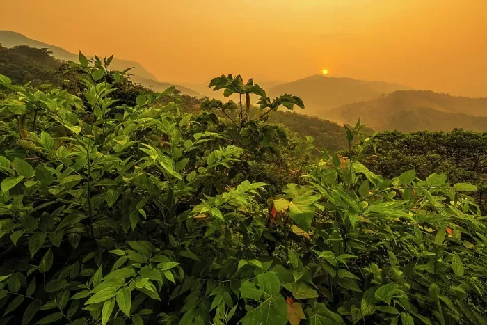 Framed Print : Sunrise over the foothills of the Andes Mountains in Amazonian Rainforest in the Cordillera Escalera near Tarapoto, Peru Framed Print : Sunrise over the foothills of the Andes Mountains in Amazonian Rainforest in the Cordillera Escalera near Tarapoto, Peru