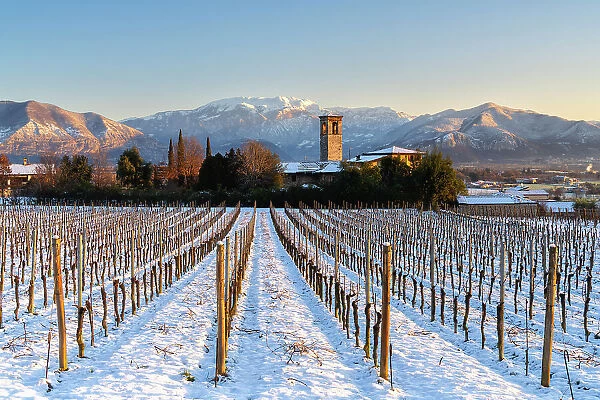 Sunrise in Franciacorta after a snowfall, Brescia province in Lombardy district, Italy