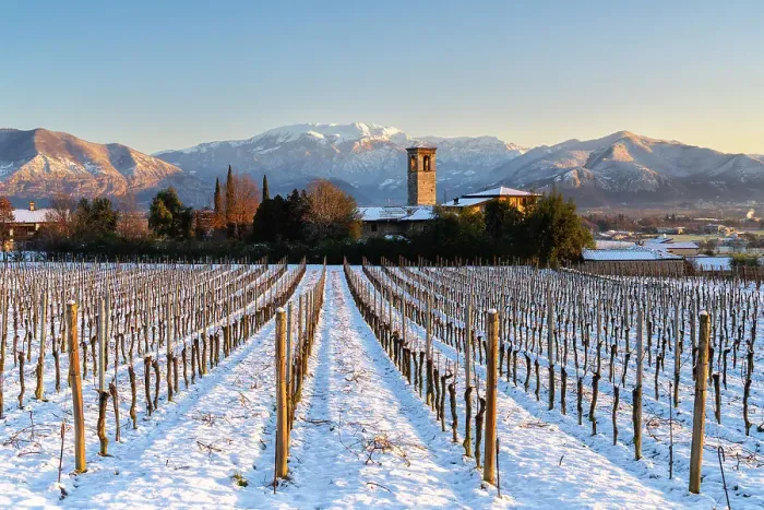 Framed Print : Sunrise in Franciacorta after a snowfall, Brescia province in Lombardy district, Italy Framed Print : Sunrise in Franciacorta after a snowfall, Brescia province in Lombardy district, Italy