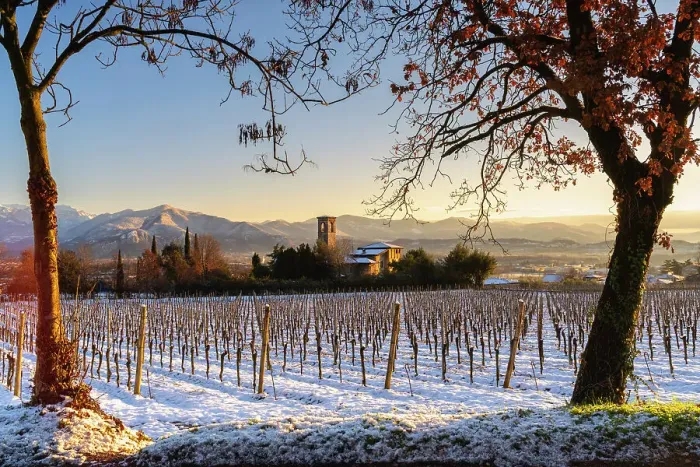 Framed Print : Sunrise in Franciacorta after a snowfall, Brescia province in Lombardy district, Italy Framed Print : Sunrise in Franciacorta after a snowfall, Brescia province in Lombardy district, Italy