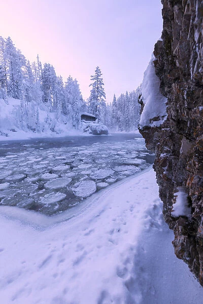 Sunrise on frozen water and forest at Myllykoski, Juuma, Oulanka National Park, Kuusamo
