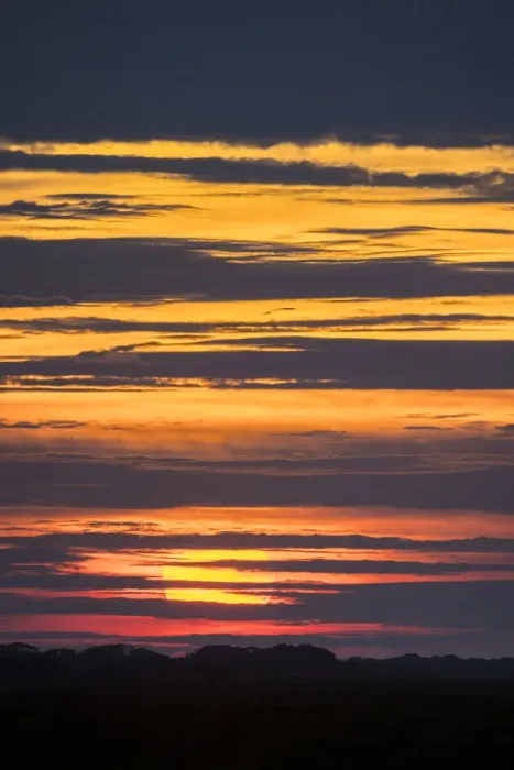 Framed Print : Sunrise over grassland, Liuwa Plain National Park, Zambia Framed Print : Sunrise over grassland, Liuwa Plain National Park, Zambia