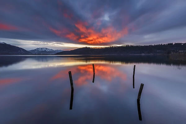 Sunrise on lake Alserio, Alserio, Como province, Brianza, Lombardy, Italy, Europe