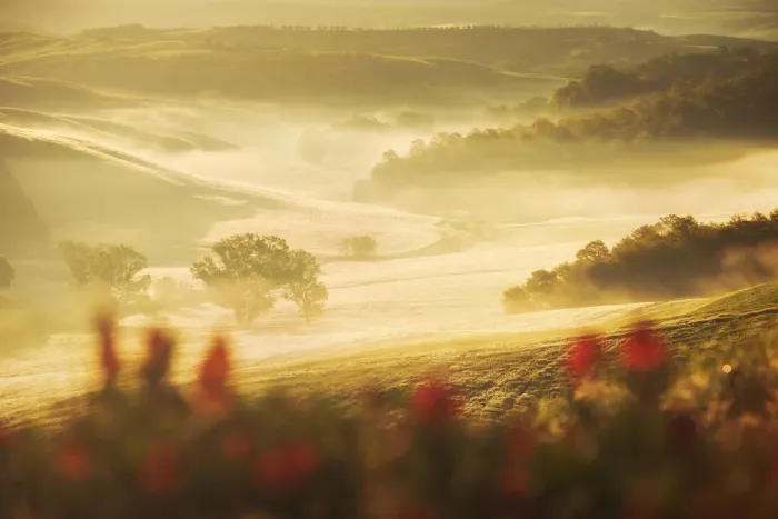 Framed Print : Sunrise light hitting the Siena countryside in spring, Tuscany, Italy Framed Print : Sunrise light hitting the Siena countryside in spring, Tuscany, Italy