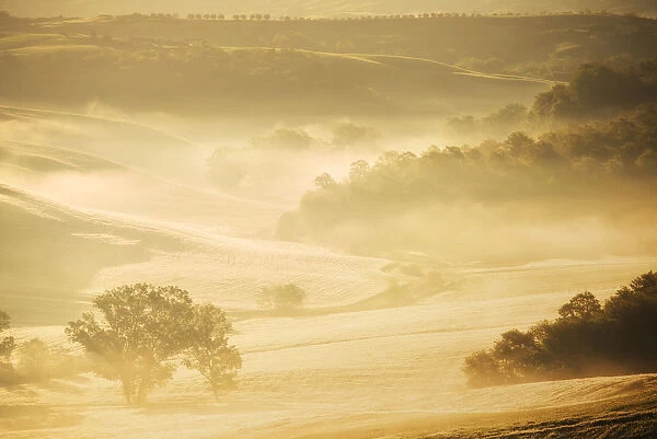 Sunrise light hitting the Siena countryside in spring, Tuscany, Italy