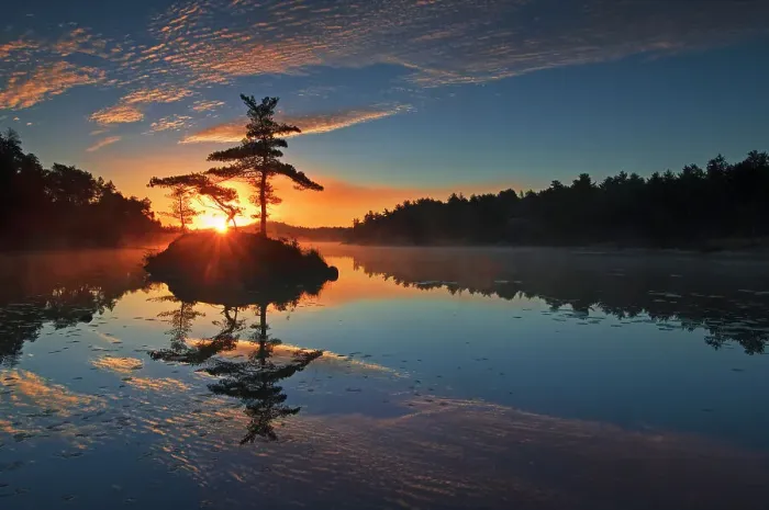 Framed Print : Sunrise over McGregor Bay with with pine trees on island (Georgian Bay) near Whitefish Falls, Ontario, Canada Framed Print : Sunrise over McGregor Bay with with pine trees on island (Georgian Bay) near Whitefish Falls, Ontario, Canada