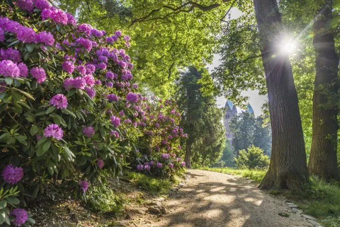 Framed Print : Sunrise in the palace gardens of Bad Homburg vor der Hoehe, Taunus, Hesse, Germany Framed Print : Sunrise in the palace gardens of Bad Homburg vor der Hoehe, Taunus, Hesse, Germany