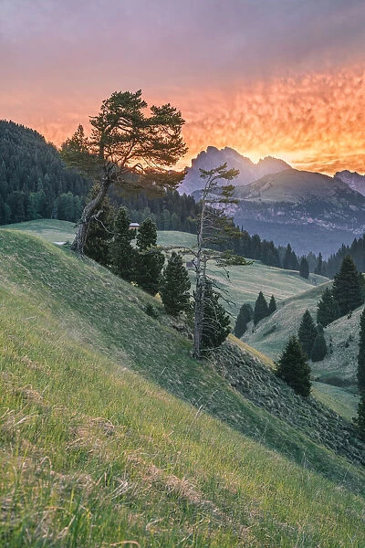 Sunrise with a red sky at Alpe di Siusi (Seiser Alm), Castelrotto (Kastelruth), Dolomites