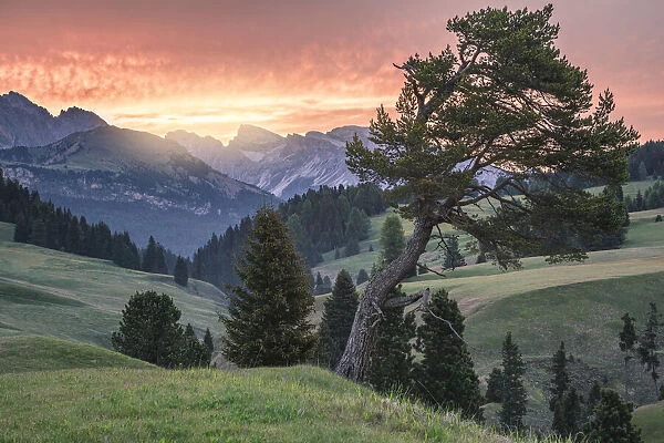 Sunrise with a red sky at Alpe di Siusi (Seiser Alm), Castelrotto (Kastelruth), Dolomites