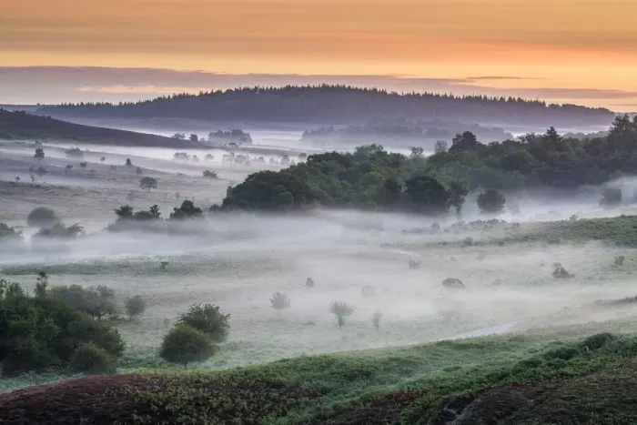 Framed Print : Sunrise from Rockford Common, New Forest National Park, hampshire, England, UK
