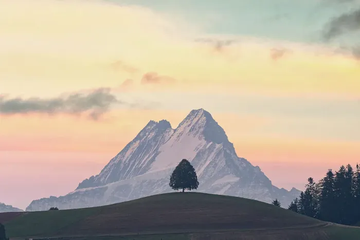 Framed Print : Sunrise over Schreckhorn, Wetterhorn, Finsteraarhorn and Eiger view from rolling hills, Emmental, Berner Oberland, Switzerland Framed Print : Sunrise over Schreckhorn, Wetterhorn, Finsteraarhorn and Eiger view from rolling hills, Emmental, Berner Oberland, Switzerland